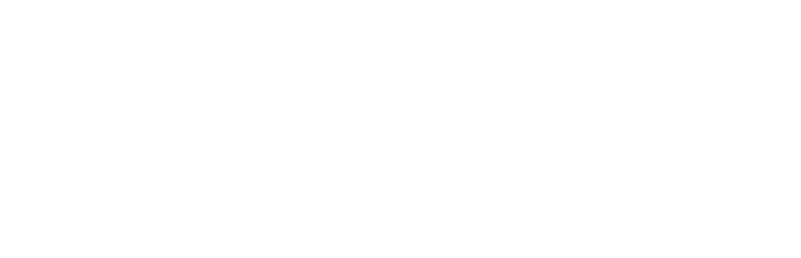 American Realty USA Logo